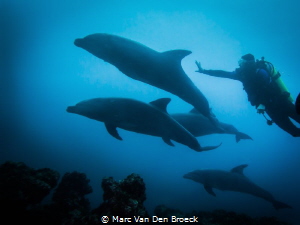 magical moments by Marc Van Den Broeck 